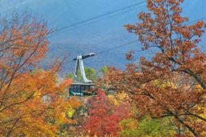 a gondola ride in the mountains with autumn trees at Big Bear Lodge Holiday home in Sevierville