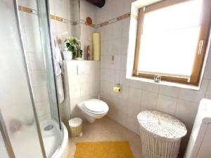 a bathroom with a toilet and a shower and a sink at Andi s Berghütte Comfortable holiday residence in Kötschendorf
