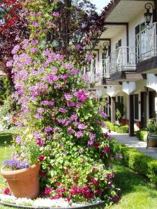una gran olla de flores delante de una casa en Laguna Hills Lodge-Irvine Spectrum, en Laguna Hills