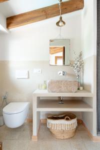 ein Badezimmer mit Waschbecken, Toilette und Spiegel in der Unterkunft Alojamiento rural La Mula en pleno corazón de la montaña de Alicante in Patró