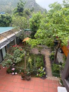 d'un jardin avec des fleurs et des plantes sur un balcon dans l'établissement Euphoria Cat Ba Homestay, à Cat Ba