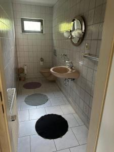 a bathroom with a sink and a toilet at Ferienhaus Gisela in Fürstenberg-Havel