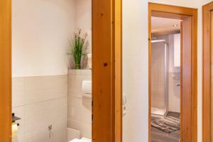 a bathroom with a shower and a toilet and a sink at Apart Celina in Oetz +23 photos