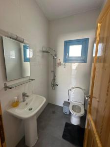 a bathroom with a sink and a toilet and a mirror at #7 Lipsi Port Apartment Sea Views-Ground floor-No#7 in Lipsoi