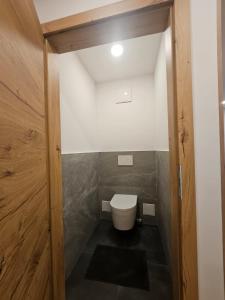 baño pequeño con aseo y puerta de madera en Gasthaus Eichholzer, en Murau 1 foto más