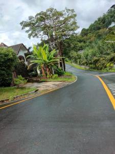 Un camino sinuoso con una casa y árboles al costado. en mom's home, en Phuket