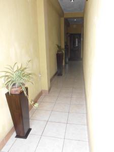 a hallway with a potted plant in a building at Crysol Center Hotel in Chimaltenango