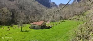a field with a small house in the middle of a field at La Molnera in La Molina