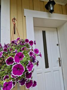 a pot of purple flowers in front of a door at Rumianka in Rumia