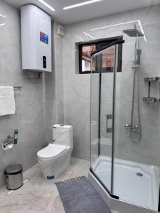 比什凯克Kausar Hotel的带马桶和玻璃淋浴间的浴室