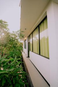 einem Korridor eines Gebäudes mit Fenstern und Pflanzen in der Unterkunft The ransi House in Dikwella