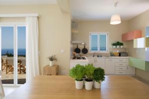 a kitchen with three potted plants on a wooden table at Boo Premium Living Villen Auf Lefkada in Tsoukaladhes