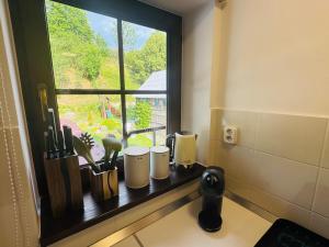 a window in a kitchen with a counter with utensils at Apartmany Izbica in Červený Kláštor +31 photos