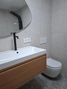a bathroom with a sink and a toilet and a mirror at Casa di Castello in Mali Lošinj +32 photos