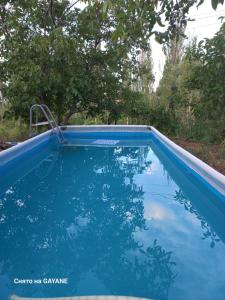 a blue swimming pool in a yard with trees at Green World in Byurakan