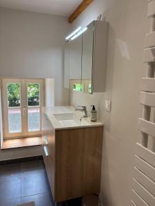 a bathroom with a sink and a mirror at La marmotte in Le Vanneau +23 photos