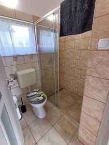 ボガーチにあるDenFi Vendégházのトイレとシャワー付きのバスルーム +9枚の写真