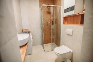 a bathroom with a shower and a toilet and a sink at Modern Luxury Apartment & Parking in Leszno