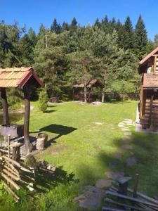 a grassy yard with a house and trees at Яглина in Sprynya