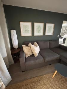 a living room with a gray couch and three pictures on the wall at Durbanville Self Catering Apartments in Cape Town