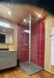 a bathroom with a shower with red tiles at Lamamas in Nonières