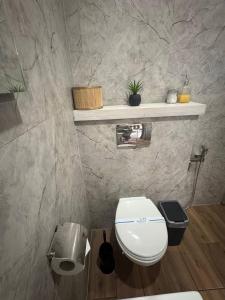 a bathroom with a toilet and a shelf on the wall at Family House Volosianka in Volosyanka