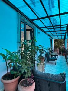 Fotografie z fotogalerie ubytování happy home v destinaci Bordžomi