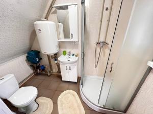 Koupelna v ubytování Будинок з видом на водоспад