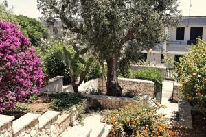 Κήπος έξω από το Appartamenti immersi nel verde