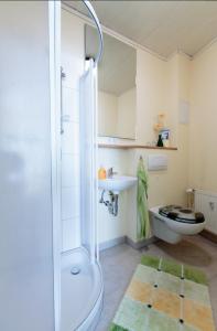 a bathroom with a shower and a toilet and a sink at Haus Globus in Pausa