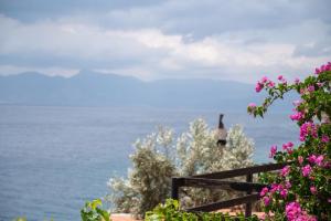 a view of the ocean with pink flowers at Agrilia Koromili Retreat in Paralia Livadostratas +59 photos