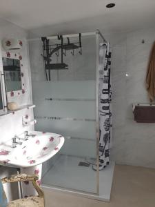 a bathroom with a sink and a shower at Chez Marie in Oye-Plage