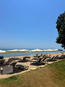 a group of chairs and umbrellas on a beach at HVD Viva Club Ultra All Inclusive - Private Beach & Free Parking in Golden Sands