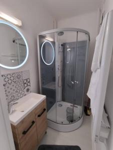 MirecourtにあるAppartement Mirecourt Centreのバスルーム(シャワー、洗面台、鏡付)