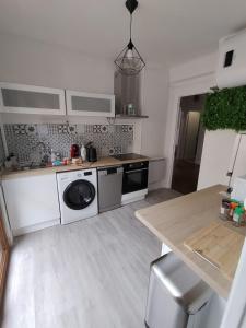 MirecourtにあるAppartement Mirecourt Centreのシンクと洗濯機付きのキッチン