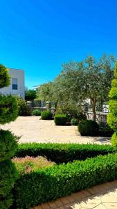 En have udenfor Villa Doda - Donji Stoj - Ulcinj