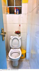 a bathroom with a white toilet in a stall at Nelimah Hosts in Machakos +8 photos