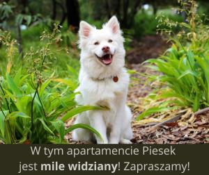 Domáce zviera alebo zvieratá hostí v ubytovaní Ski & Bike Apartment - Apartamenty Pod Śnieżką