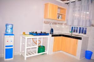 Η κουζίνα ή μικρή κουζίνα στο Imani apartment