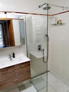 a bathroom with a shower and a sink at Apartmány Blansko in Blansko