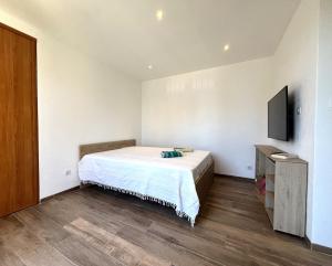Un dormitorio con una cama y un televisor de pantalla plana. en BASTIA Studio neuf jolie vue proche centre, en Bastia