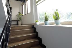 a staircase with potted plants on a window ledge at Catappa Lodge Puerto Galera in Puerto Galera