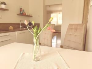 Kuchyňa alebo kuchynka v ubytovaní Trio Apartments