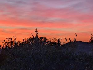 a sunset over a hill with a silhouette of trees at Appartamento spazioso montone vista mare in Montone