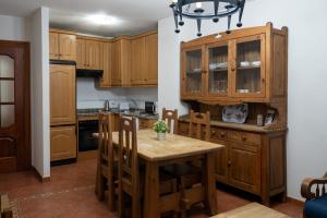 Kuchyňa alebo kuchynka v ubytovaní Panther Home Apartamentos Anita