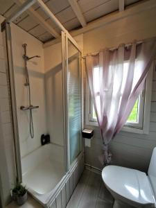 a bathroom with a shower and a toilet at Cozy Family cabin by the lake in Ólafsfjörður +20 photos