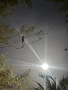 Fotografie z fotogalerie ubytování Anandas Beach Resort v destinaci Trincomalee