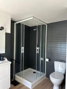 a bathroom with a glass shower with a toilet at Un nid en ville - Studio centrale, cosy et calme in Pacy-sur-Eure +5 photos