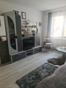 a living room with a television and a mirror at Apartament Geo in Nehoiu