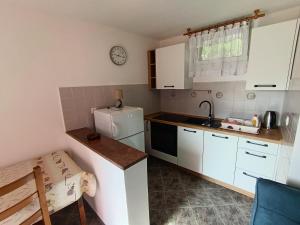a small kitchen with white cabinets and a refrigerator at Apartments Valter Frankovic in Mošćenička Draga